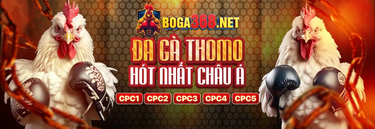 Hình ảnh đá gà trực tuyến 69vn06 kịch tính và hấp dẫn